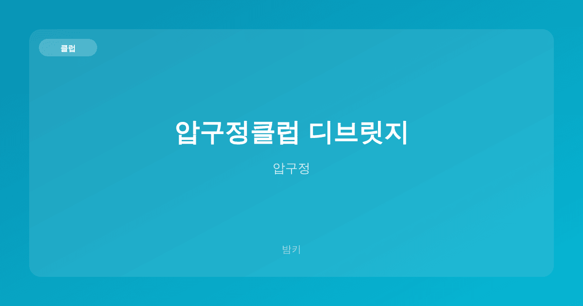 압구정클럽 디브릿지 클럽 압구정