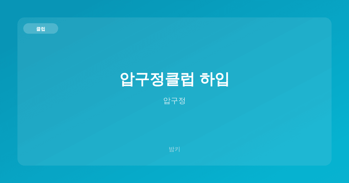 압구정클럽 하입 클럽 압구정