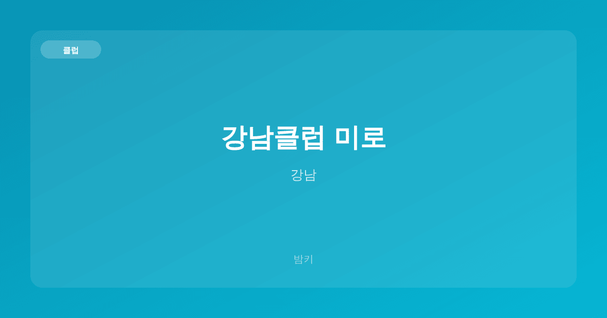 강남클럽 미로 클럽 강남