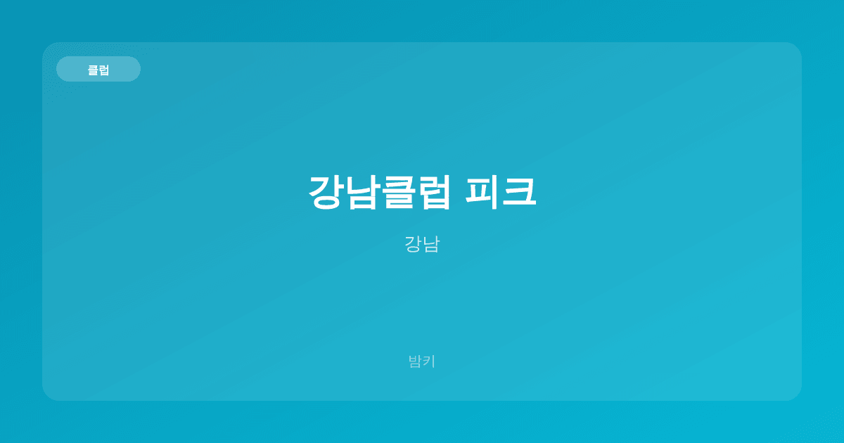 강남클럽 피크 클럽 강남