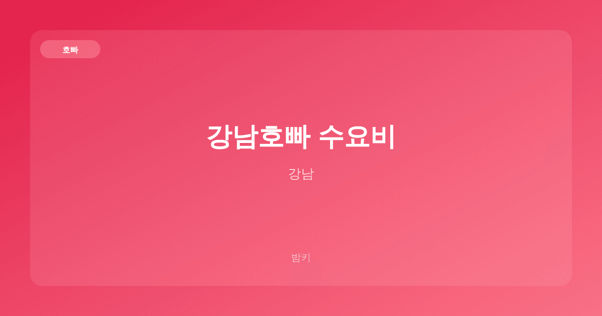 강남호빠 수요비 호빠 강남