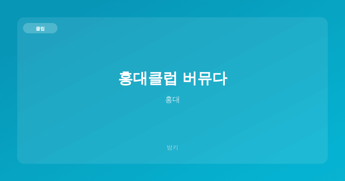 홍대클럽 버뮤다 클럽 홍대