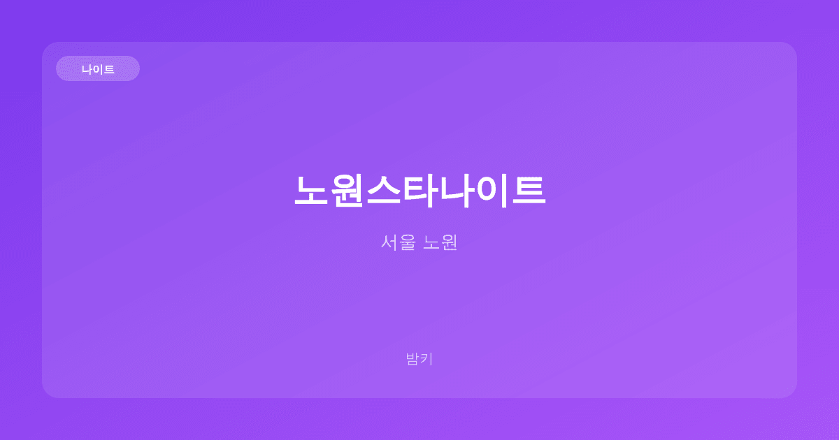 노원스타나이트 나이트 서울 노원