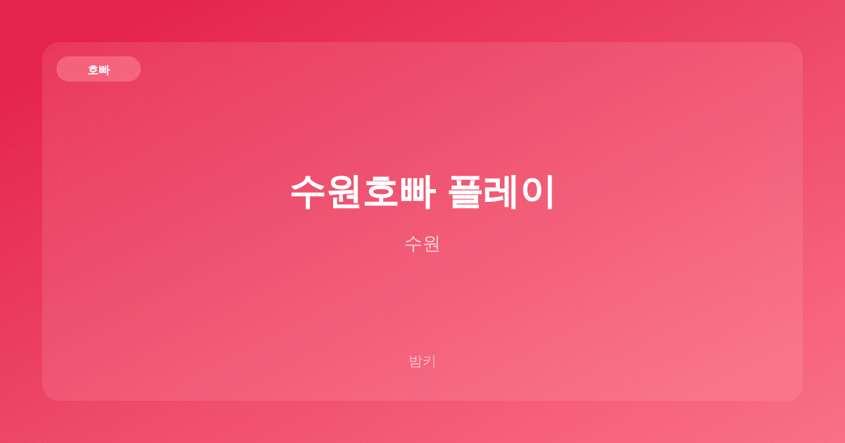 수원호빠 플레이 호빠 수원