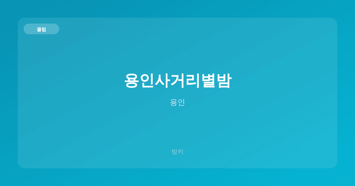 용인사거리별밤 클럽 용인